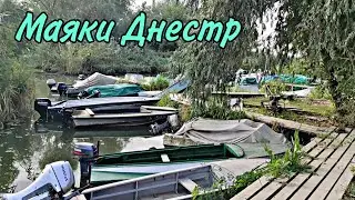 Днестр, количество рыбаков впечатляет. Маяки, Одесская область.