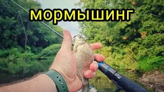 FISHING, MONO LINE OR BRAIDED LINE??? FISHING, CARASS FISHING ON THE RIVER!!!