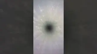 Scientists Dropped A Camera Into A Deep Hole In Antarctica 😯 
