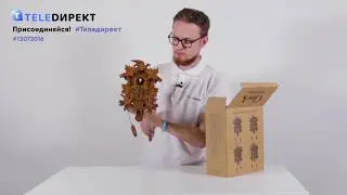 Видеообзор: Часы с кукушкой 