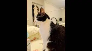 Из семейного архива