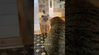 ✨Девочки такие девочки! ✨Рита и Барсик✨ 