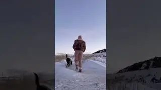 ЭСТЕТИКА ПУТЕШЕСТВИЙ С СОБАКОЙ В АВТОДОМЕ🤩🚐🐶
