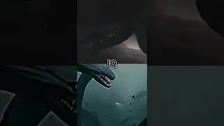 SCP 3000 vs SCP 6004