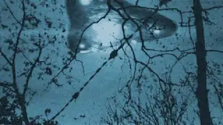 Dieser Wald soll ein Portal zu einer anderen Dimension sein...