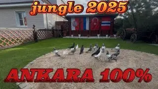 Месяц , июнь !!!