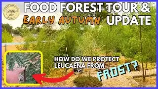EARLY AUTUMN FOOD FOREST TOUR - VICTORIA AUSTRALIA
