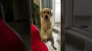 Фотомодель 📸😂