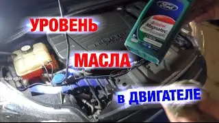 Сколько заливать моторного масла в двигатель?! Можно ли смешивать разные моторные масла?
