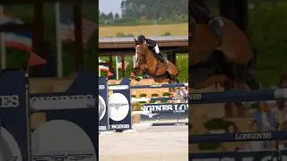 Slow mo #shorts #horse #sports #jumping