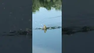 Не каждый Рыбак Охотник, но каждый Охотник Рыбак!