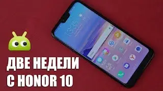 Две недели с Honor 10