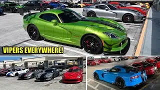 VIPERS TAKE OVER PARKING GARAGE! - I Found 100 MORE!