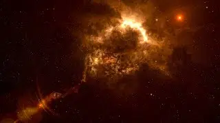 The Ambientalist - Proxima Centauri