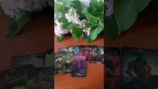 Что не видите 🍀🤨✨🍀 #таро #гадание