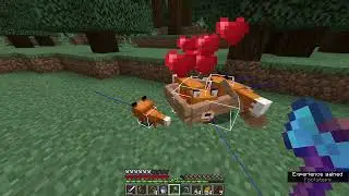 Minecraft(1.18) aa Speedrun HARDCORE Every Version(19/23)