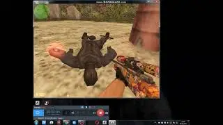 Обзор паблик сервера
