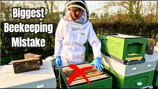 The Biggest Beekeeping Mistake You Can Make