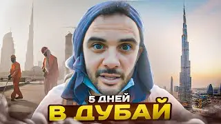 Дубай - город сбежавших принцесс, технологий и мигрантов