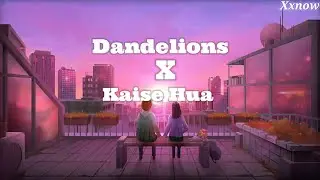 Dandelions X Kaise Hua - Xxnow || Mashup