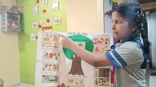 Uses of plants / Science project uses of plants grade-2 #scienceproject #usesofplants #youtubevideos