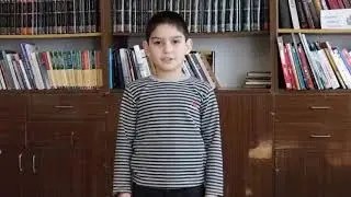 Людмила Уланова «Хозяйственный жучок»