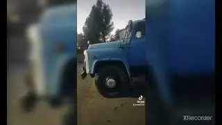 мой красавец