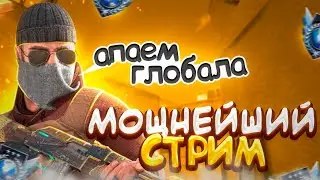 АПАЕМ ГЛОБАЛА В СТАНДОФФ 2 ПРЯМО НА СТРИМЕ! ПРАЗДНУЕМ 5000 ПОДПИСЧИКОВ!