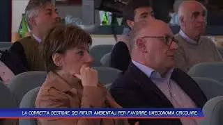 TLT NEWS EDIZIONE DEL GIORNO DEL 29-10-24