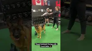 Partner Timing Kettlebell Power Swings.