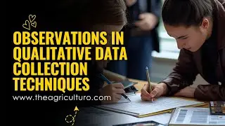 Observations in Qualitative Data Collection Techniques