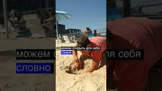 Сказки и легенды мира: культурное наследие народов