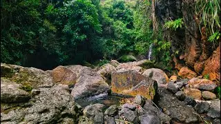 Peñuelas Puerto Rico | Charco La Soplaera