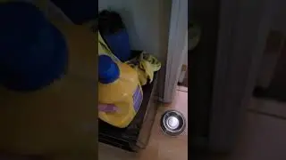 Colie Steal Uncle Danny's  Detergent