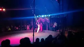 qizim 13 qism uzbek tilida