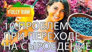 Чего ждать от сыроедения? Проблемы и решения ТОП-10