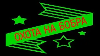 ОХОТА НА БОБРА СЕЗОН ОХОТЫ МАРТ  17 2024