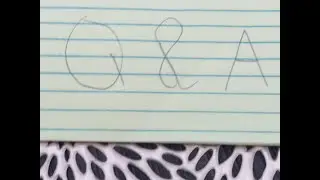 Q&A