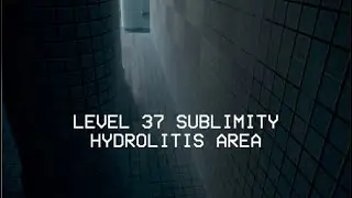 Submerged Echos | Level 37.2 Faux Poolrooms (Backrooms Found Footage)