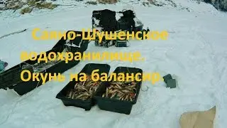Саяно-Шушенское водохранилище. Окунь на балансир.
