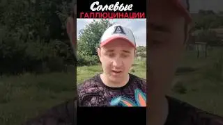 Соль ошибок не прощает 