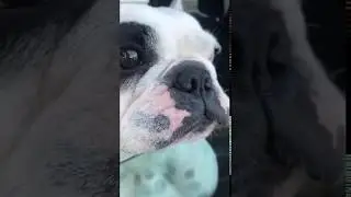 Оперный певец