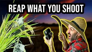 Photography is Rice Farming in Disguise