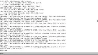 13 1 Troubleshooting Basic Routing Issues   CCNA Data Center