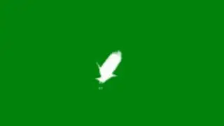 free green screen bird