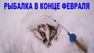 Рыбалка в конце февраля