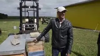 Промышленное пчеловодство в Алтайском крае