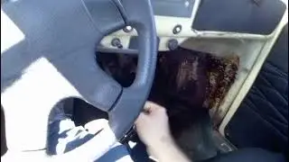 This skill can save you: shifting gears without a clutch
