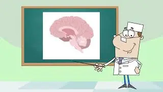 Школа эпилепсии 2.0 Урок 1