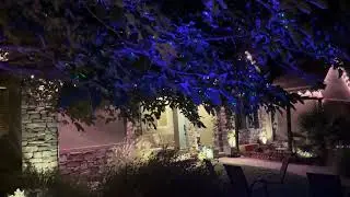 Transform Your Garden with Firefly Star Projector & Laser Christmas Lights - Magical Outdoor Decor!